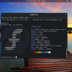Linux on a Linx 10